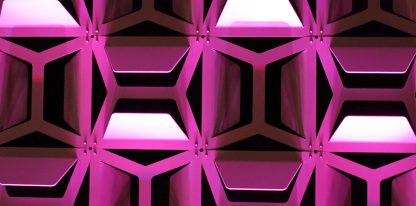 hive